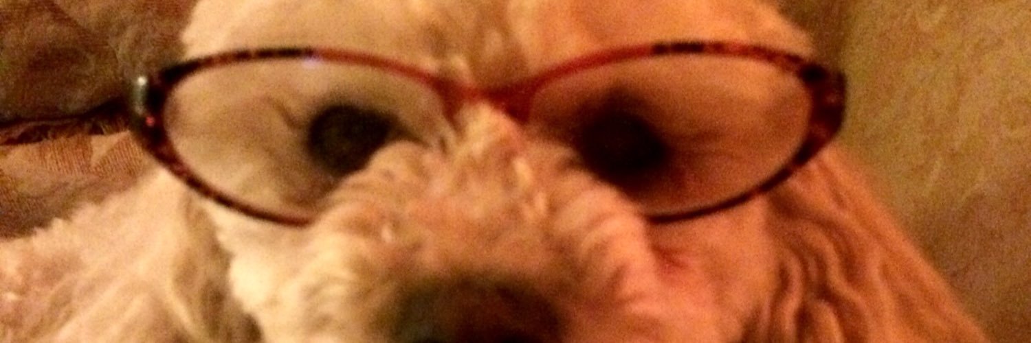 strykerjf's profile banner image