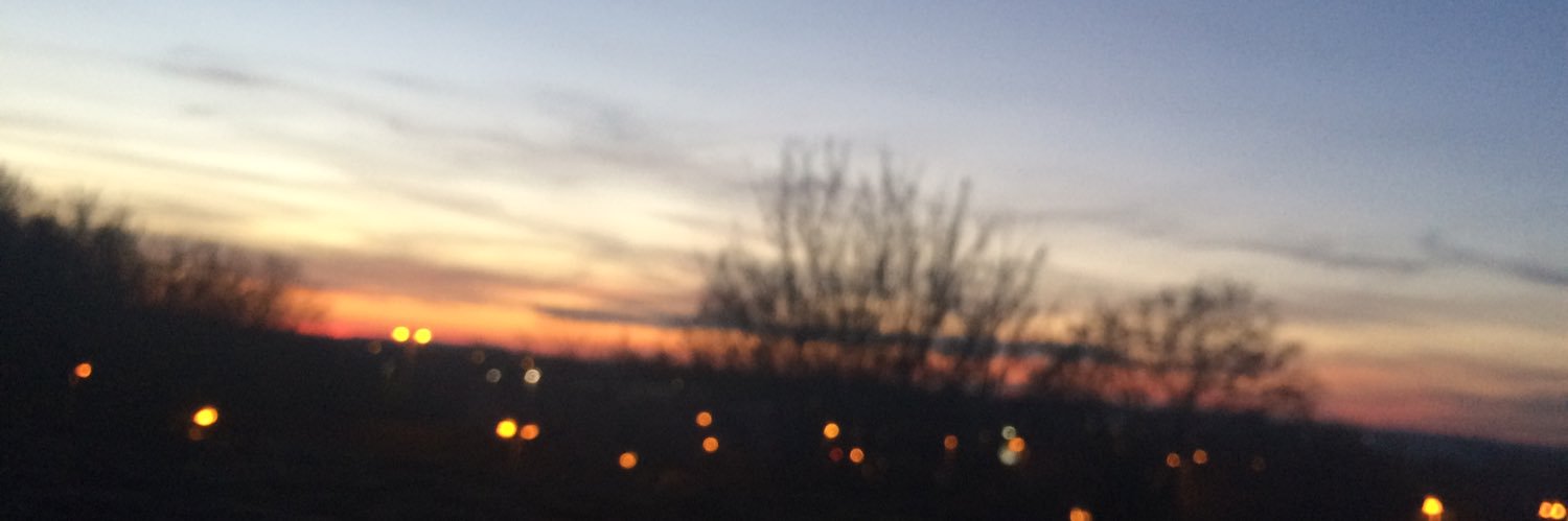 MegArdley's profile banner image