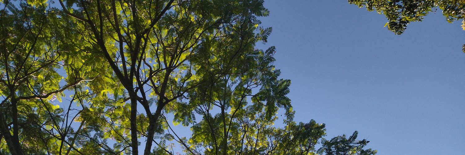 erng_n's profile banner image