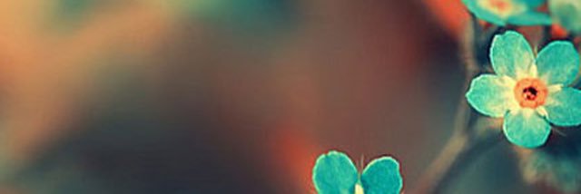 Tobin Buckner banner