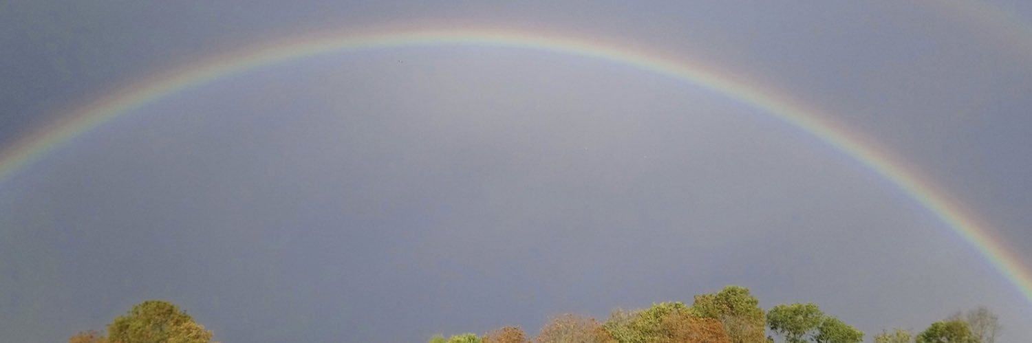 parkrunweatherf's profile banner image