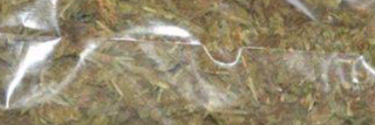tExEZeimzy's profile banner image