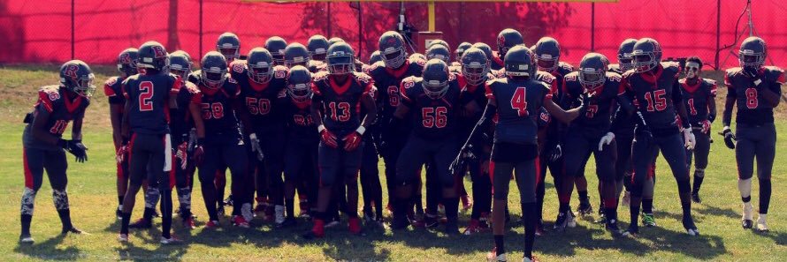 THE ROSELLE RAMS banner