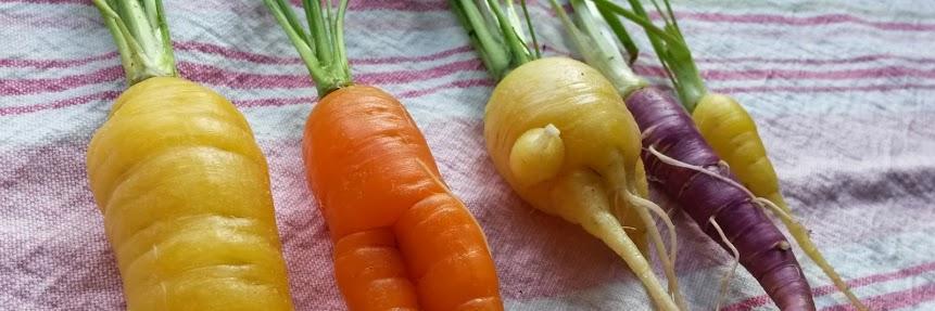 Anne Lene Løvhaug banner