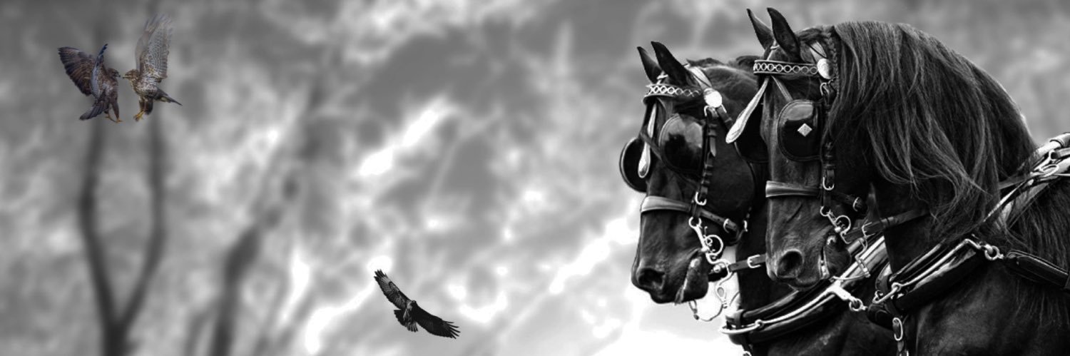 7store3's profile banner image