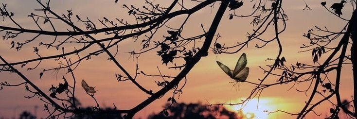 085070906's profile banner image