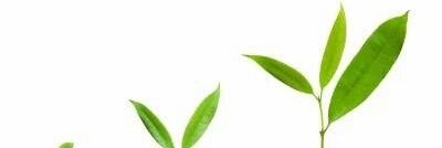 AAtenibiaje's profile banner image