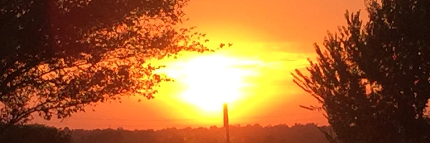 joncavanaugh's profile banner image