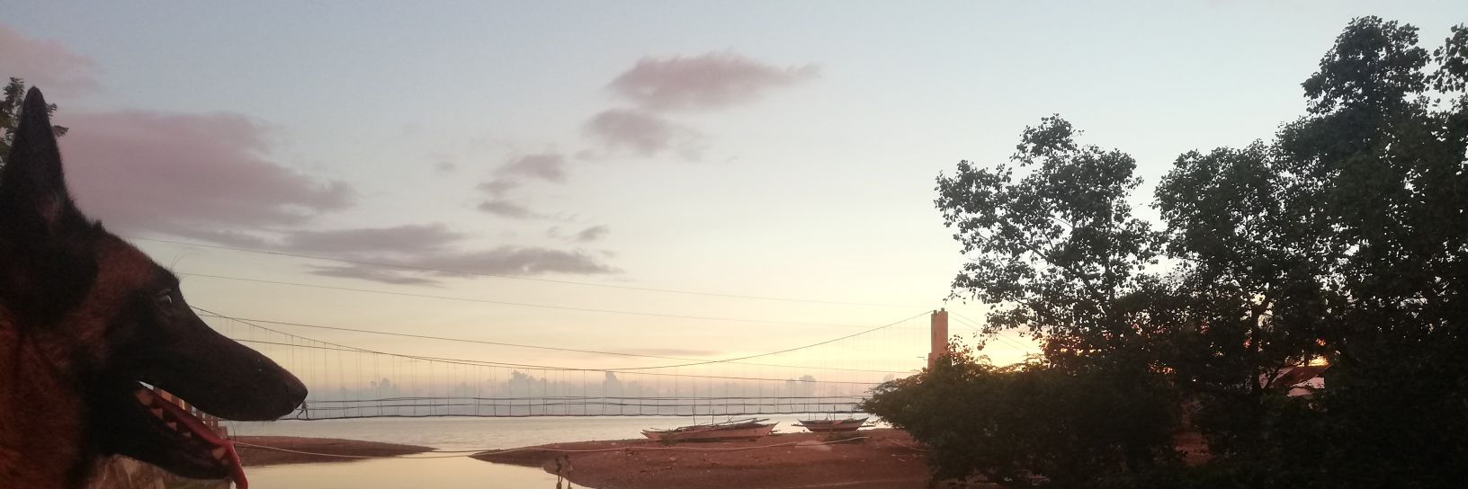 IanMuhi's profile banner image