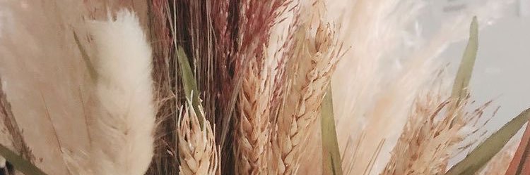 DestanyJay's profile banner image
