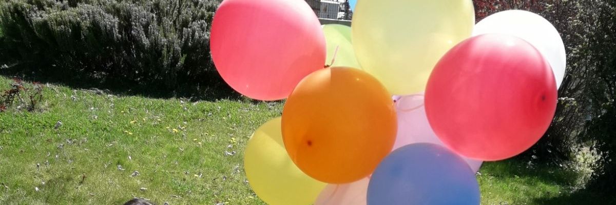 dincerz475's profile banner image