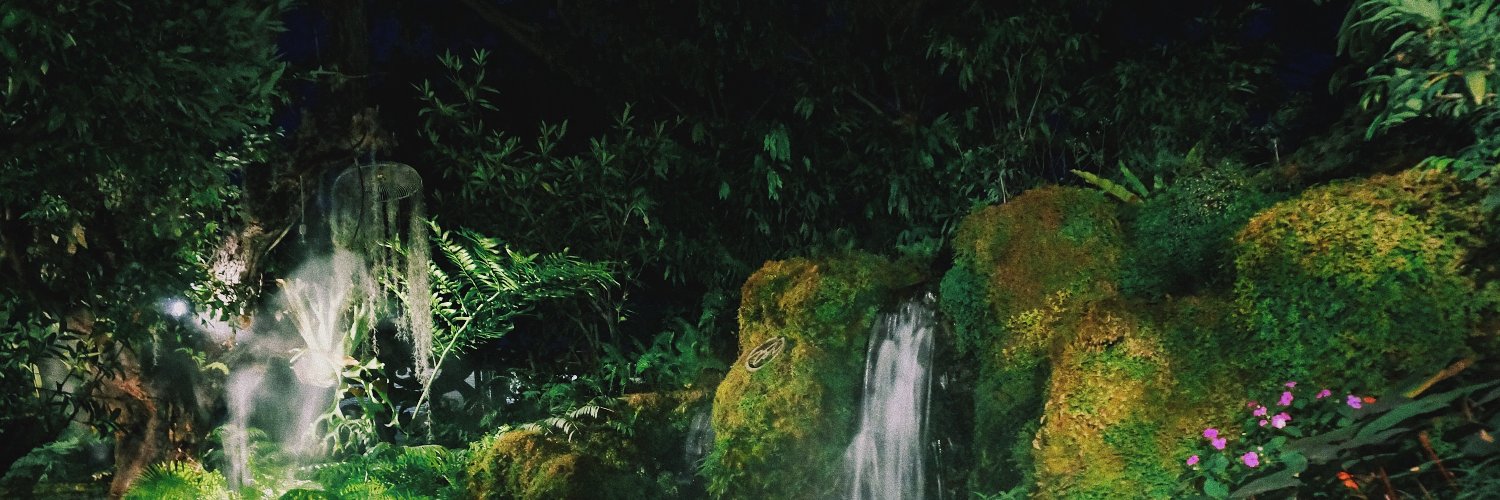 dotoli_JohnBur's profile banner image