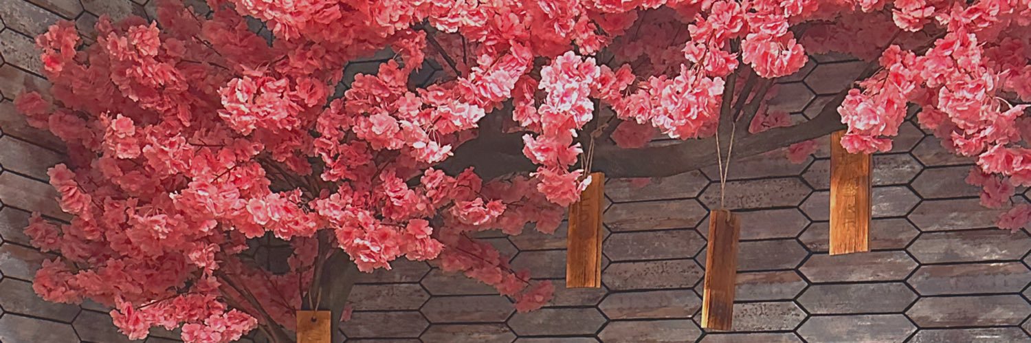 savvlr1's profile banner image