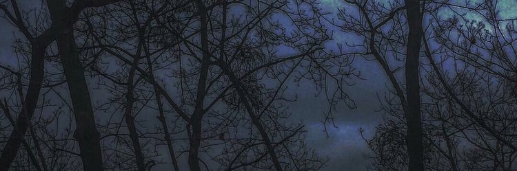 tisssssshka's profile banner image