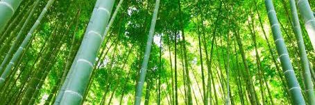 c_tyaso's profile banner image