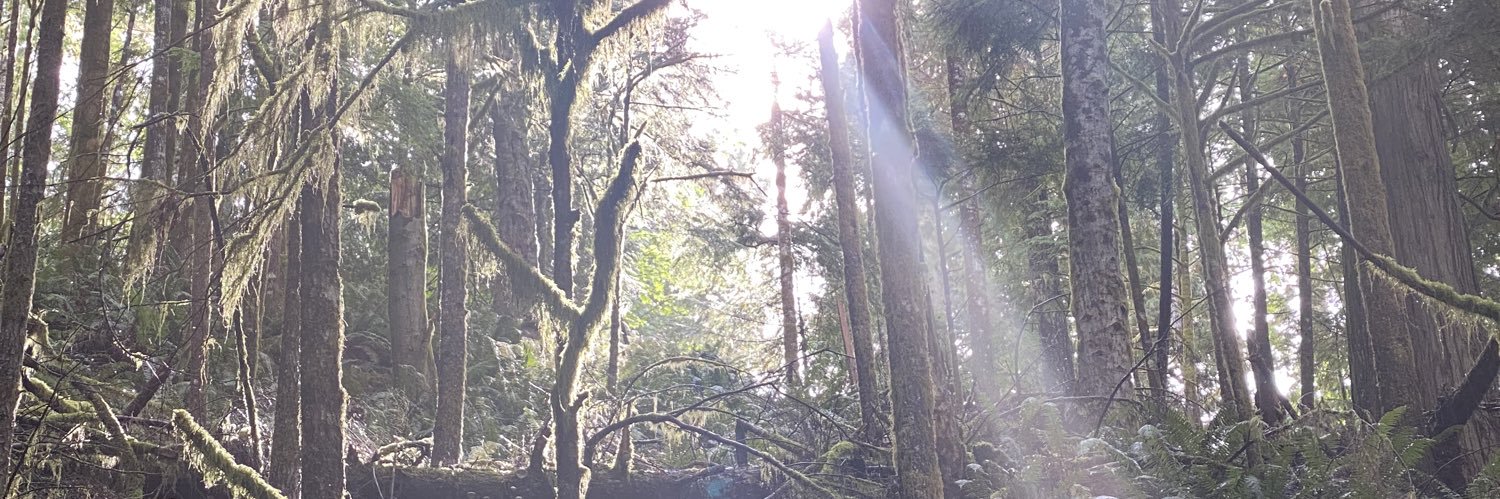 S_3van11's profile banner image