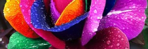 leamae59's profile banner image