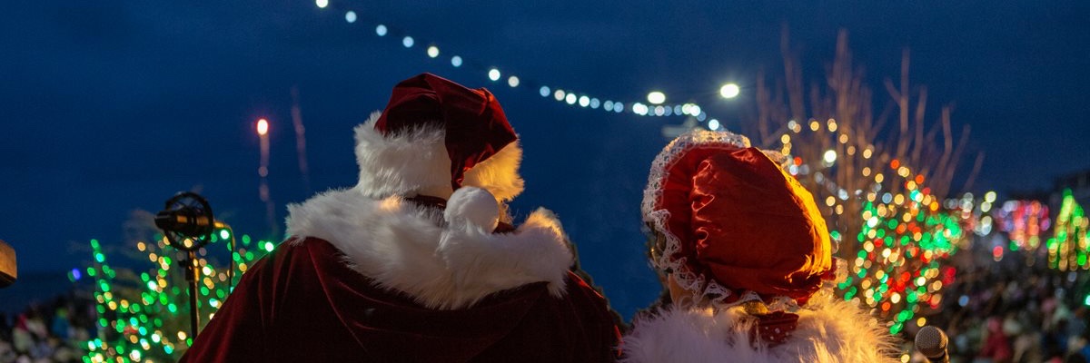 WexWinterland's profile banner image
