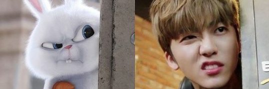 Chocoren02's profile banner image
