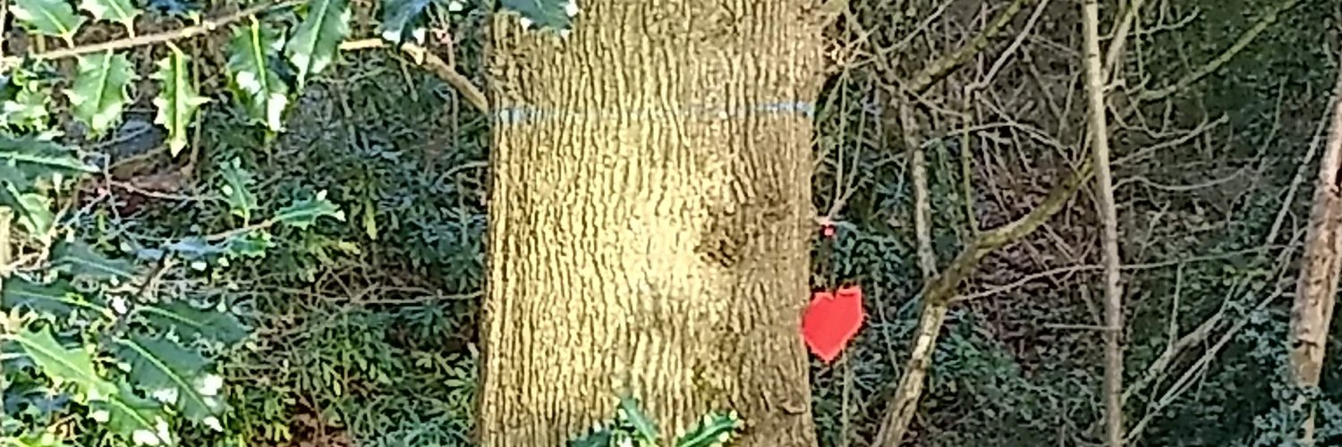 lizbatten44's profile banner image