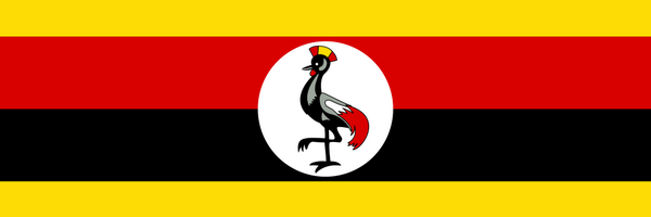 ProfNuwagaba Profile Banner