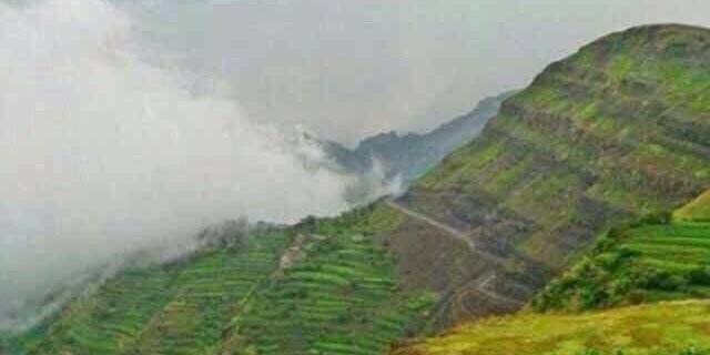 ..وقف للمتوفين ،. banner