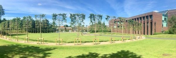 Shane Kilcommins banner