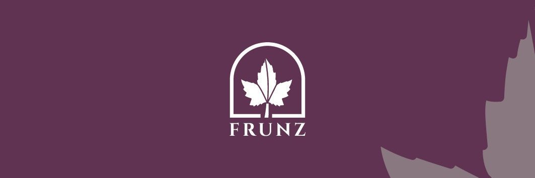 FrunzCS's profile banner image