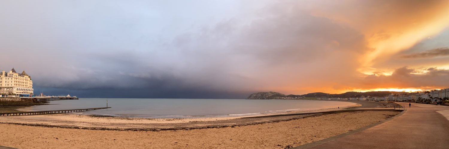 Claire Shiland banner