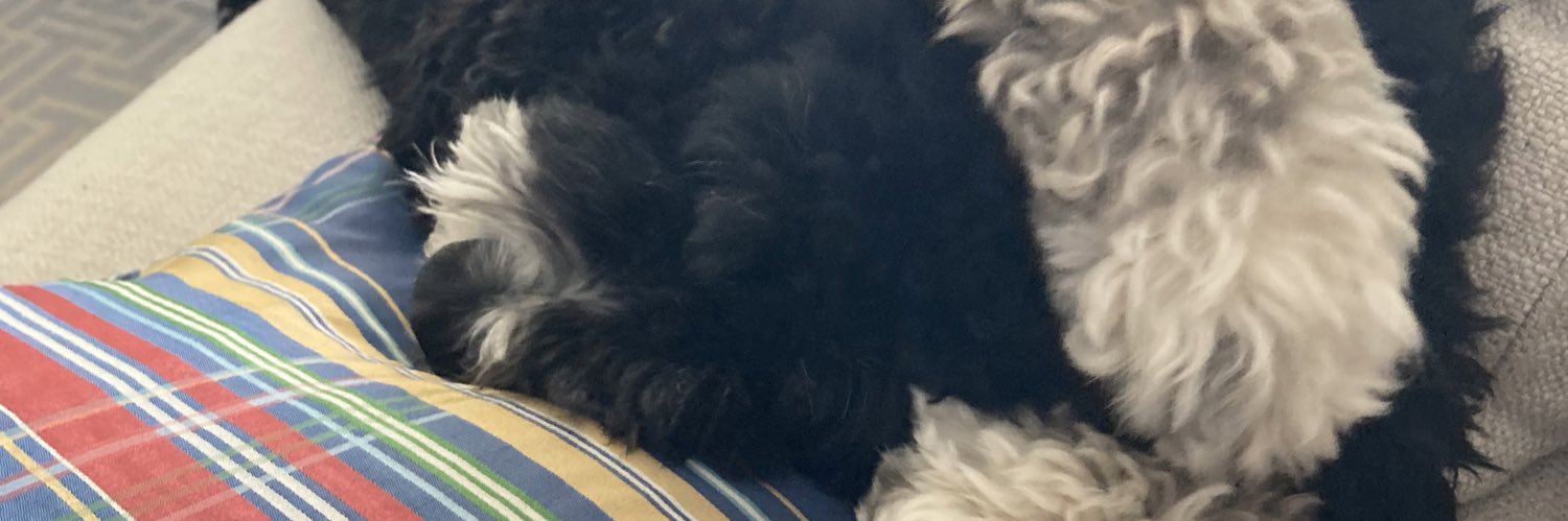 nortonseth13's profile banner image