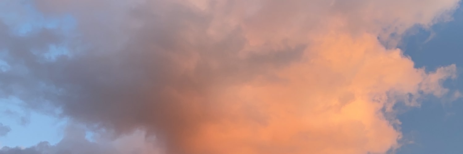 Aleix Domènech banner