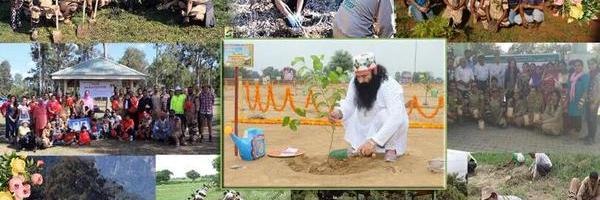 mohanlaltak's profile banner image