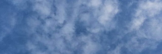ellismaura14's profile banner image