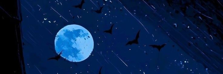 raydowzx's profile banner image