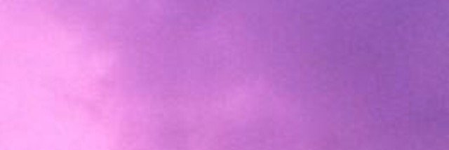 TaglianiOFC's profile banner image