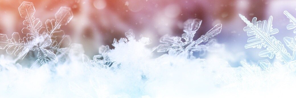 officiallyelsa's profile banner image