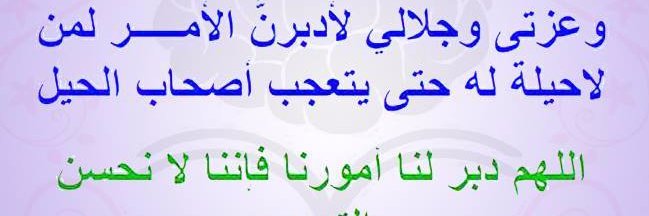 aliber_DZ's profile banner image