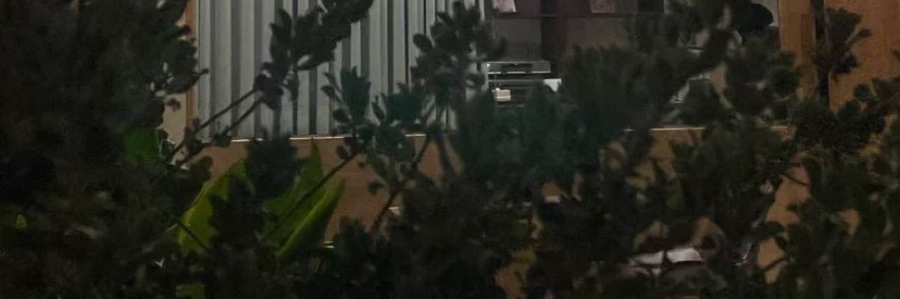Fatamimi_'s profile banner image