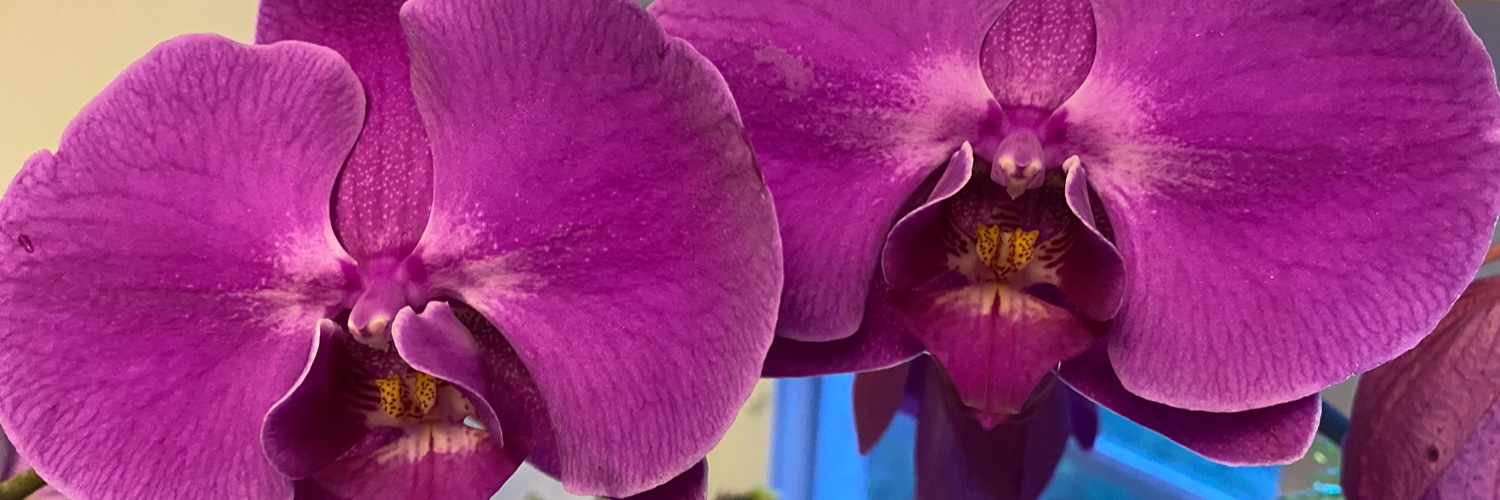 GreggPSullivan's profile banner image