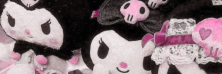 junie .⋆♱ banner