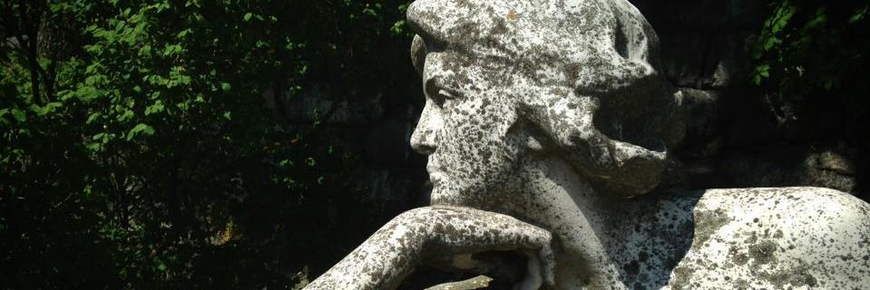 Vrouwensynode's profile banner image