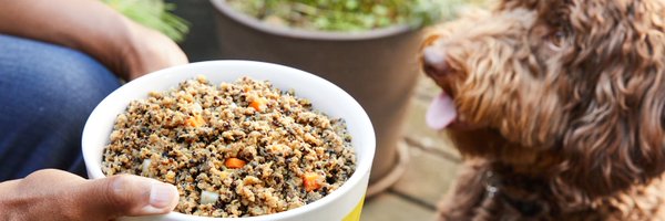 PetPlate Profile Banner