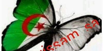 sawissam's profile banner image