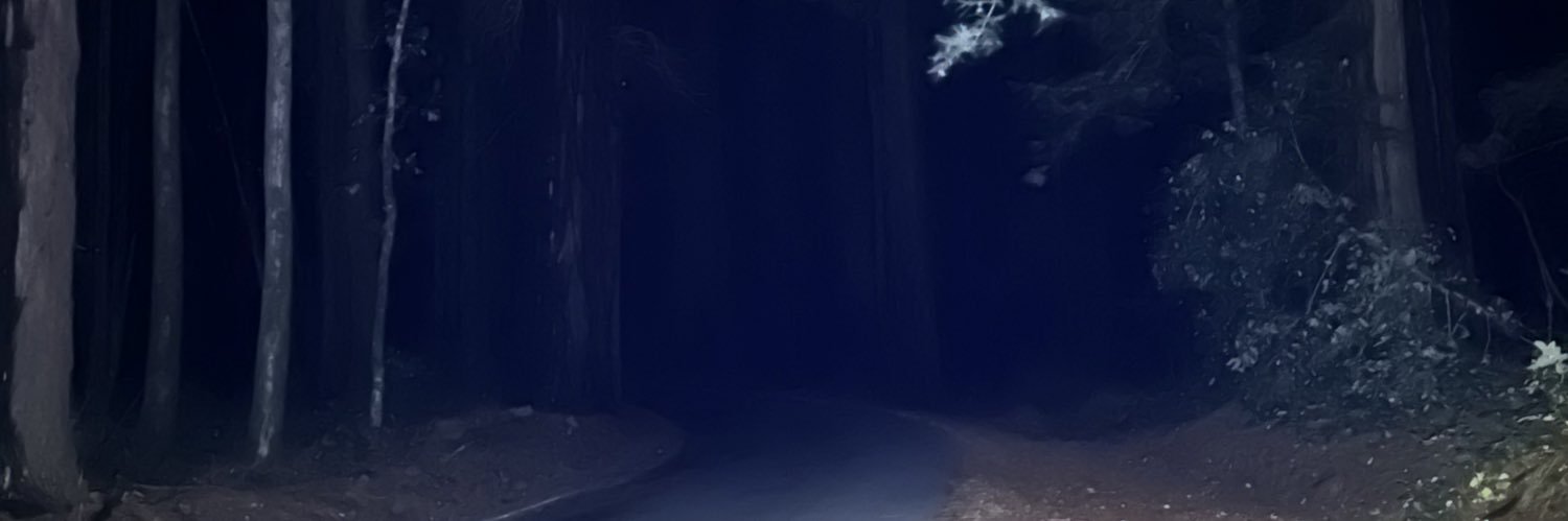 danny's banner