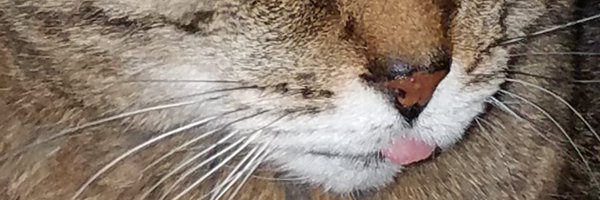 jmflam Profile Banner