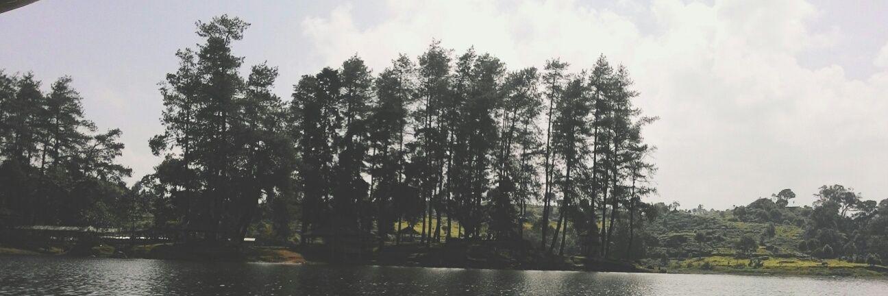 IinFeb's profile banner image