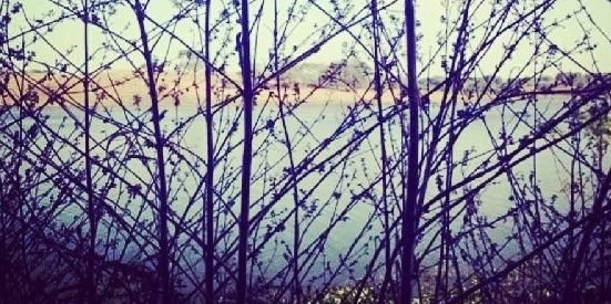 adiht 👈👨‍🌾 banner