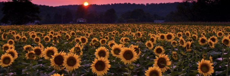 ang_xo's profile banner image