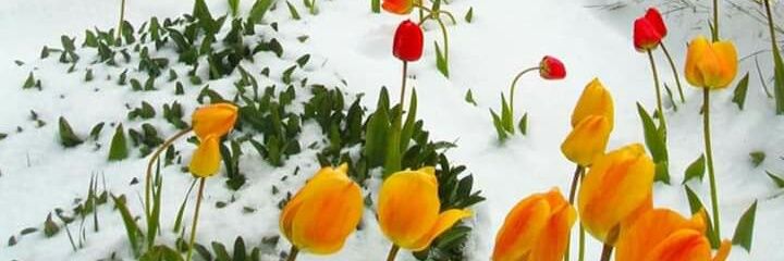 heshamabouella's profile banner image