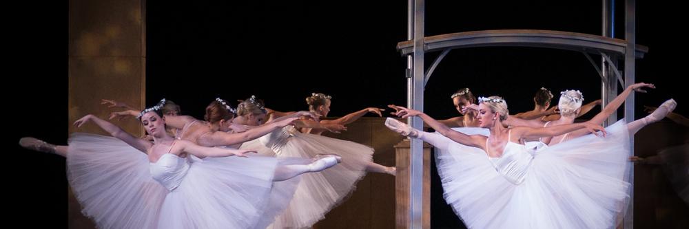 SierraNevBallet's profile banner image